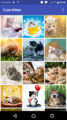 Cute Kitten Wallpaper