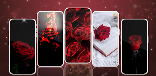 Red Rose Wallpaper Mawar 4K