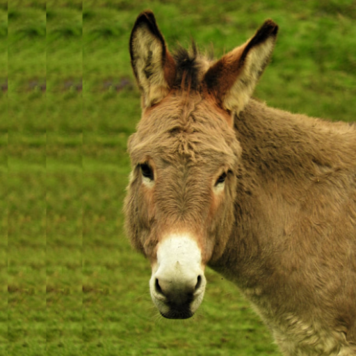 Donkey Sounds logo