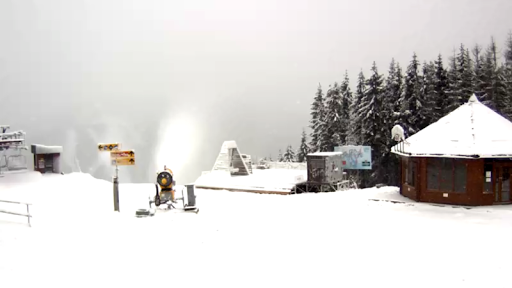 SkiCamsUa Screen 2