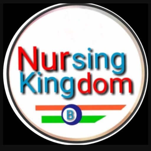 Nursing Kingdom logo