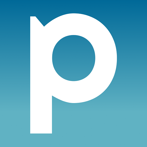 Pubiza logo