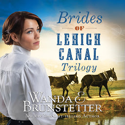 Icon image Brides of Lehigh Canal Trilogy