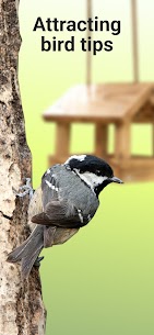 Picture Bird MOD APK -Bird Identifier (Premium Unlocked) Download 5