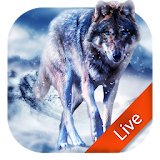 Ice Wolf Live Wallpaper icon