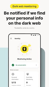Norton Secure VPN 3