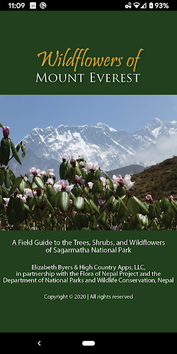 Screenshot of Wildflowers of Mount Everest