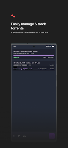 qBittorrent Manager Screen 2