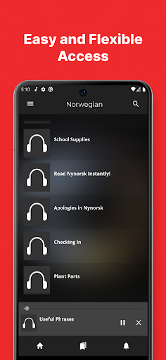 Fast, Speak Norwegian Language Screen 3