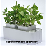 Hydroponic For Beginners icon
