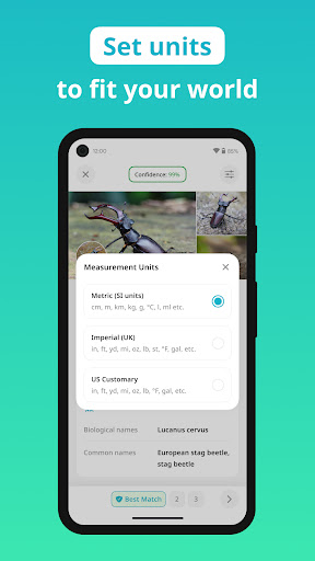 Insect Identifier - Insectium
