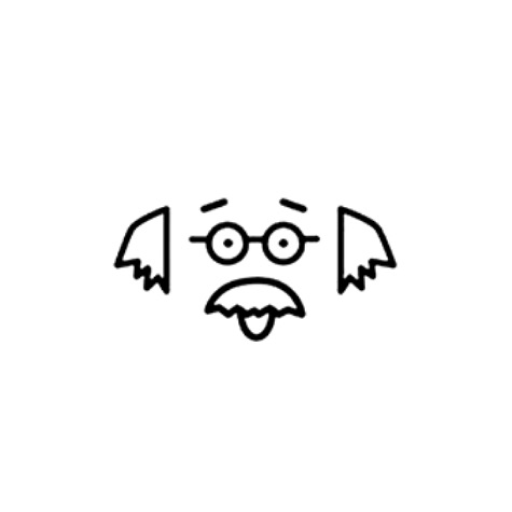 Albert I’mStein logo