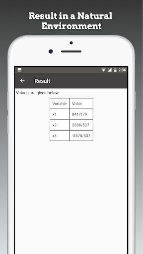 Screenshot of Linear Equation System Solver