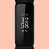 Fitbit Inspire 2 icon