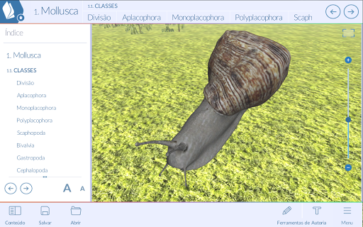 Animais invertebrados