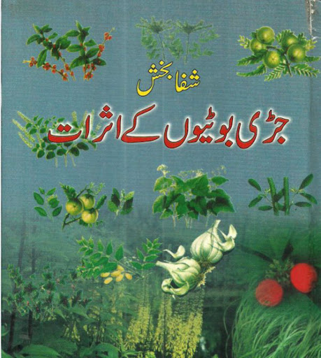 Tibb e Nabawi Book Screen 3
