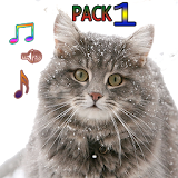 Cat Ringtones Vol1 with Cute Cats Wallpapers icon