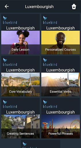 Android application Learn Luxembourgish. Speak Lux screenshort