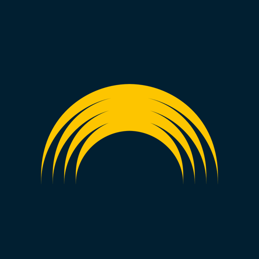 PALMBUS  Icon