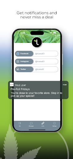 True Leaf Screen 3