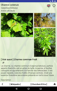 Capture d'écran