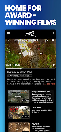 Screenshot of IndieBox