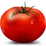 Cover Image of Download TOMATO  APK