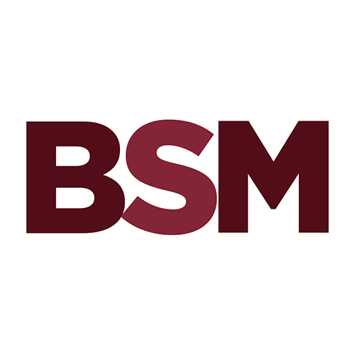 BankSouth Mortgage ReadyLoan logo