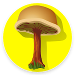 Mushroom identification App for free Apk