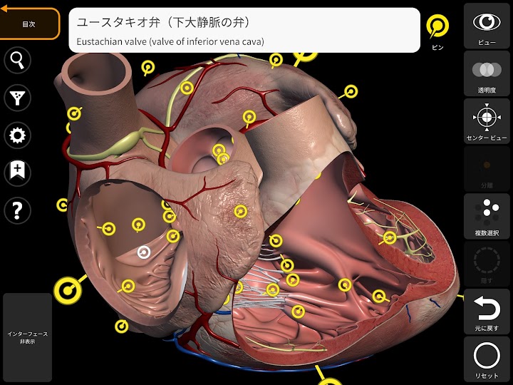 解剖学 - 3Dアトラス screenshot 10