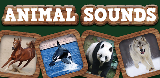 Animal Sounds - Apps on Google Play