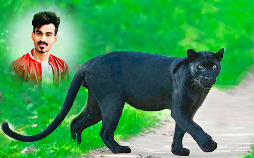 Black panther photo editor