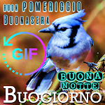 Cover Image of डाउनलोड Italian Good Morning Night Gif  APK