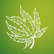 GrowCush - Cannabis deficiency detection