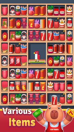 Game screenshot Capybara Sort Master apk download