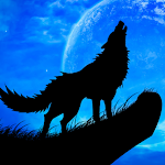 Cover Image of Herunterladen Wolf Sounds-videos-wallpaper  APK
