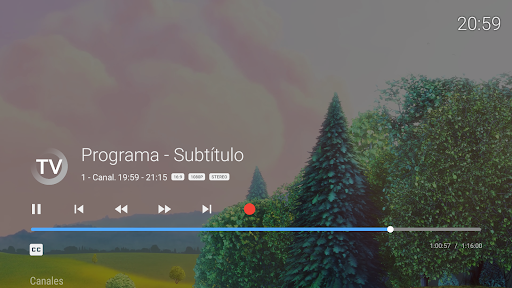 Vista previa de la aplicación