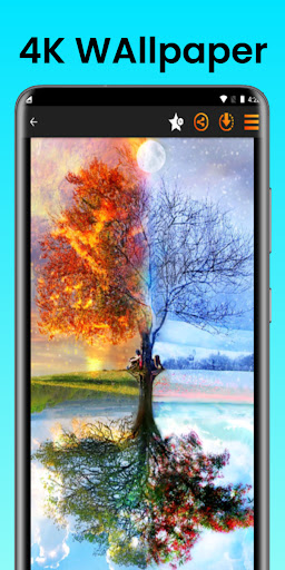 Season Wallpaper 2023