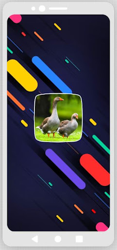 Android application Goose Sounds screenshort