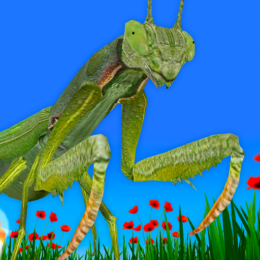 Bugs & Insects VR/AR Kid Game Logo