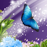 wallpaper of butterfly icon
