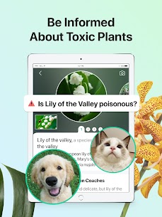 PictureThis Mod Apk Pro version to Identify Plant, Flower, Weed and More 10