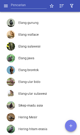 Pratinjau aplikasi