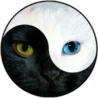 Dualidad Radial