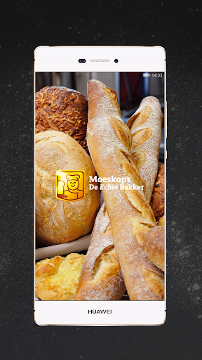 Moeskops Screen 2