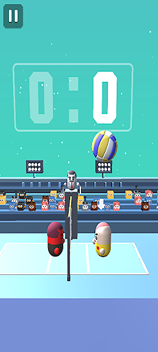 Amazing VolleyBall 3D