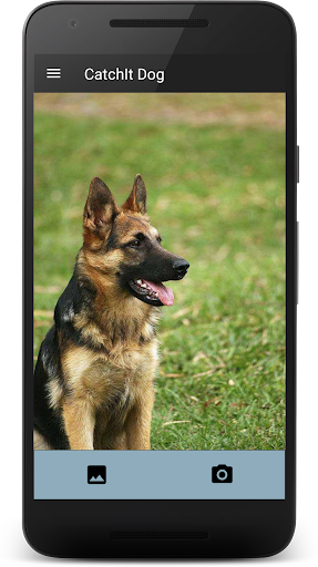 CatchIt Dog - Dog breeds scanner photo