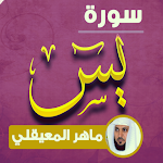 Cover Image of डाउनलोड سورة يس ماهر المعيقلي MP3  APK