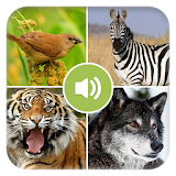 Real Animal Sounds icon