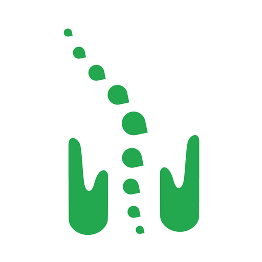 カイロ整体 logo